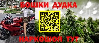 тгк Будённовск